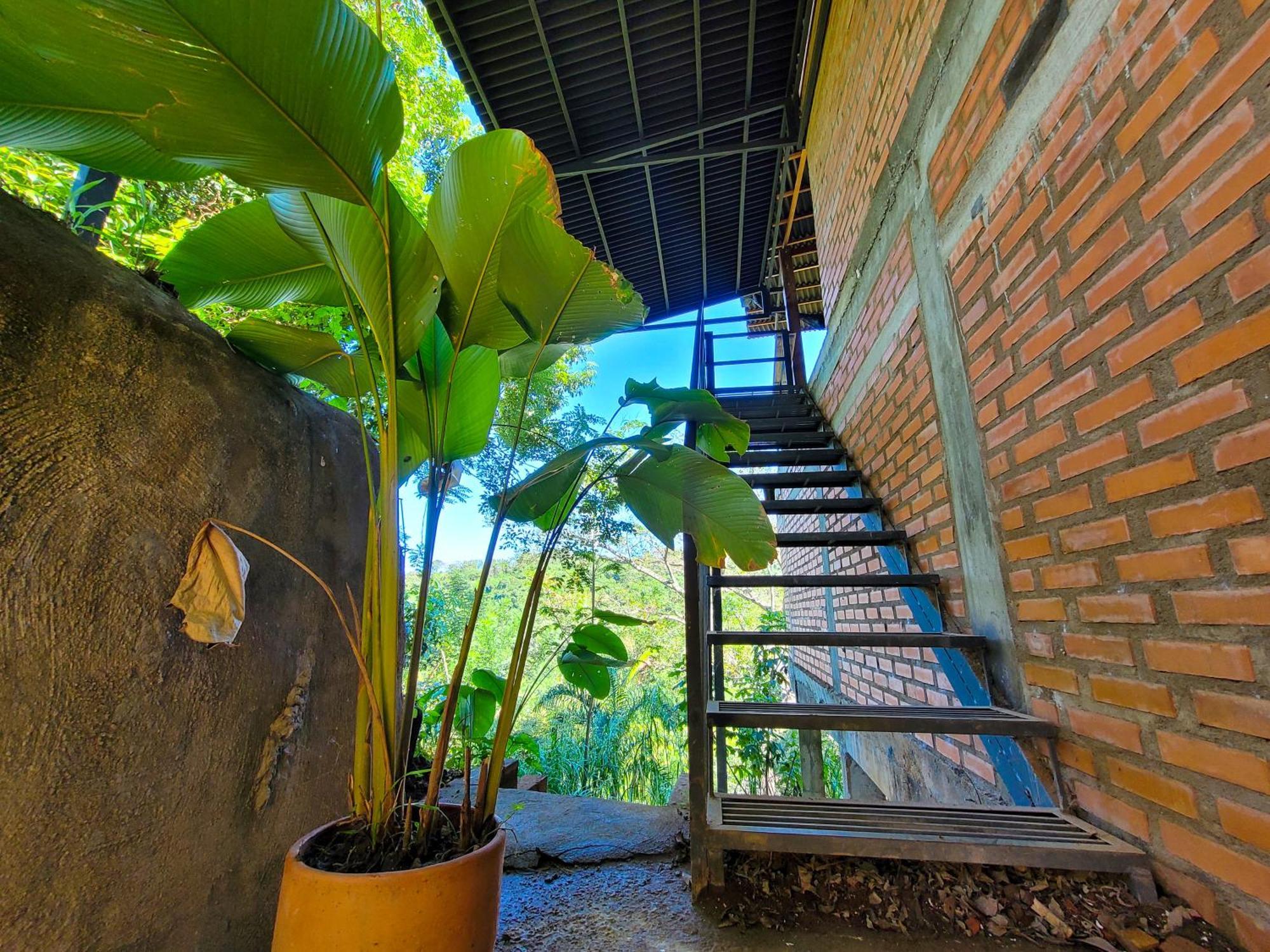 Pistacho Minca Exterior foto